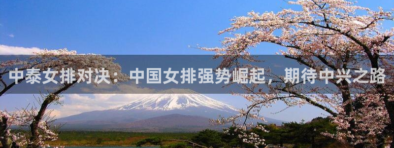 绿茵足球高清直播：中泰女排对决：中国女排强势崛起，期待中兴之路