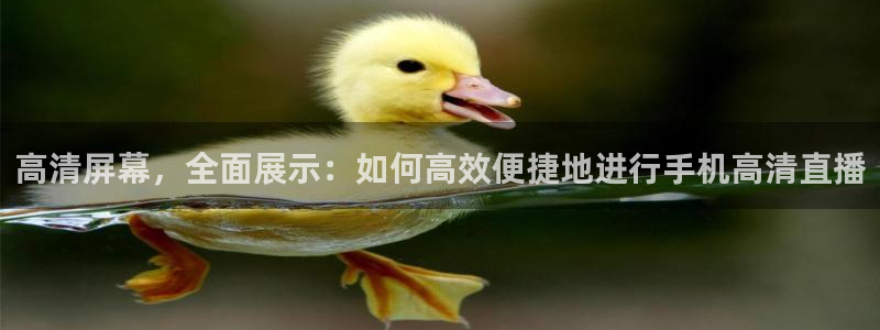 绿茵足球视频：高清屏幕，全面展示：如何高效便捷地进行手机高清直播