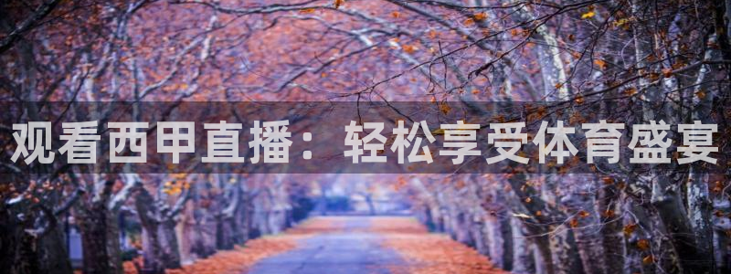 绿茵足球高清直播：观看西甲直播：轻松享受体育盛宴