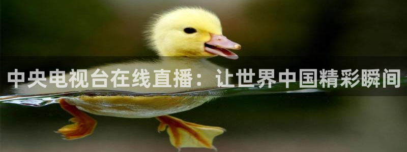 绿茵体育直播9939：中央电视台在线直播：让世界中国精彩瞬间