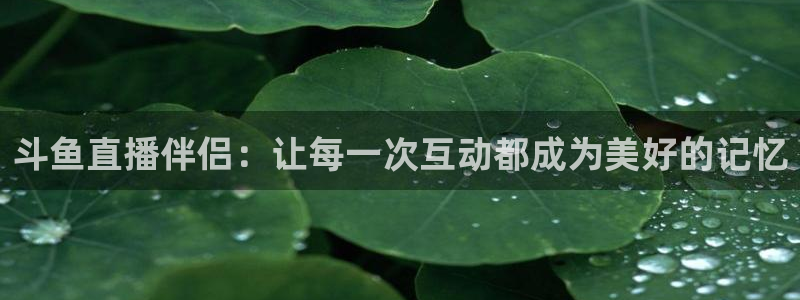 足球]绿茵魔术师：斗鱼直播伴侣：让每一次互动都成为美好的记忆