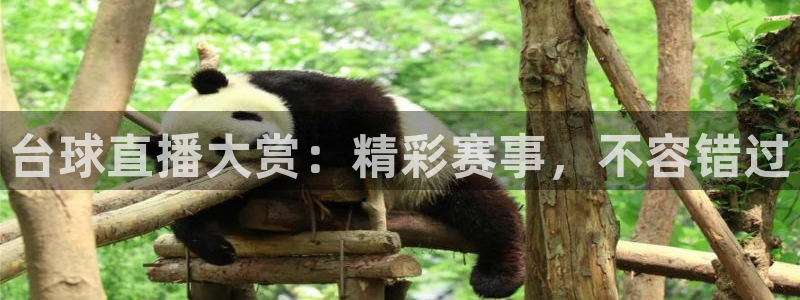绿茵体育直播(无插件)：台球直播大赏：精彩赛事，不容错过