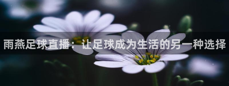足球绿茵直播：雨燕足球直播：让足球成为生活的另一种选择