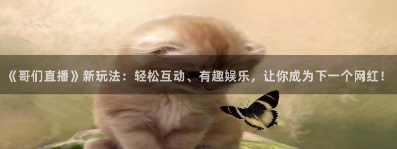 绿茵篮球直播在线观看：《哥们直播》新玩法：轻松互动、有趣娱乐，让你成为下一个网红！